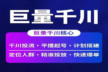 解析某某SEM服务公司的广告投放策略与效果评估